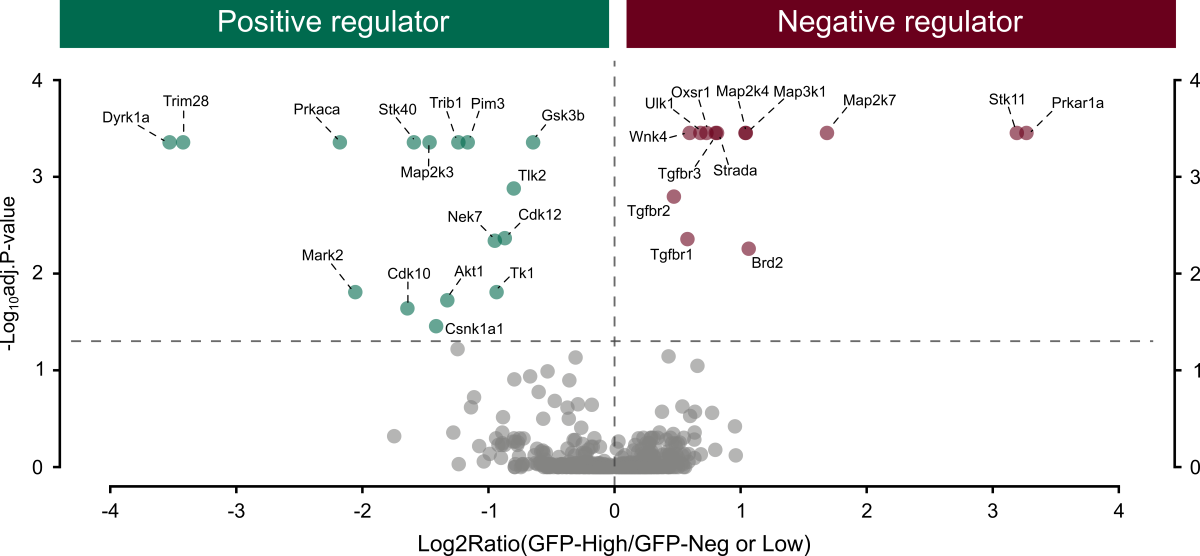National Heart, Lung, and Blood Institute