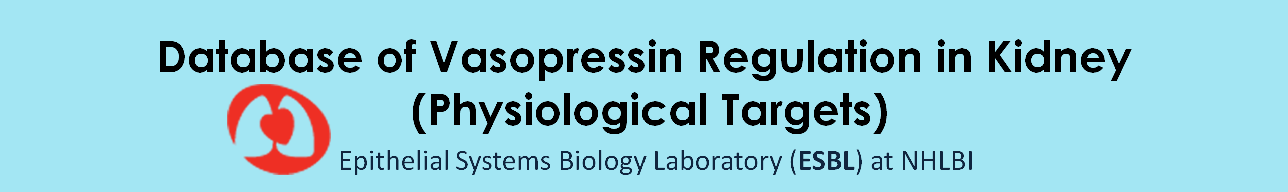 Database of Vasopressin Regulation in Kidney (Physiological Targets)