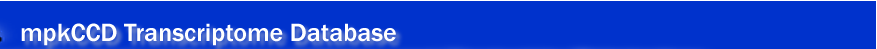 mpkCCD Transcriptome Database