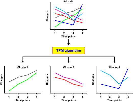 TPM image