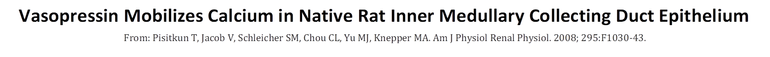 Vasopressin Mobilizes Calcium in Native Rat Inner Medullary Collecting Duct Epithelium ,From: Pisitkun T, Jacob V, Schleicher SM, Chou CL, Yu MJ, Knepper MA. Am J Physiol Renal Physiol. 2008; 295:F1030-43. 