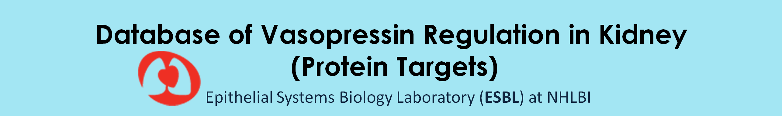 Database of Vasopressin Regulation in Kidney (Protein Targets)