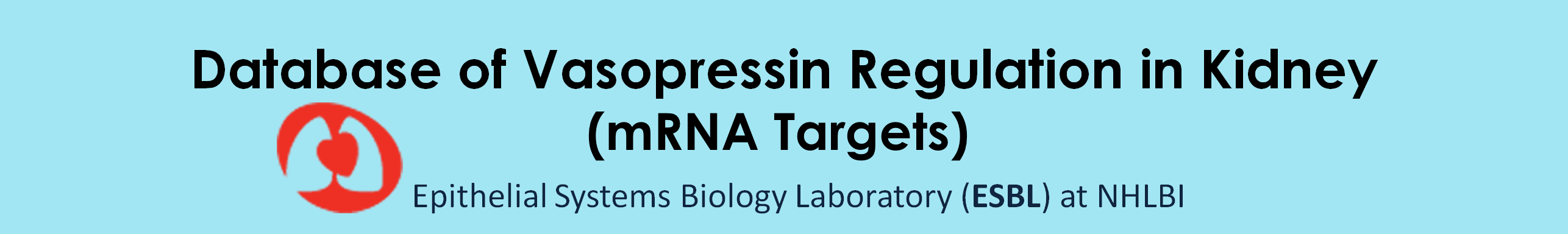 Database of Vasopressin Regulation in Kidney (mRNA Targets)